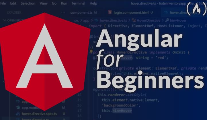 Overview of Angular for Beginners